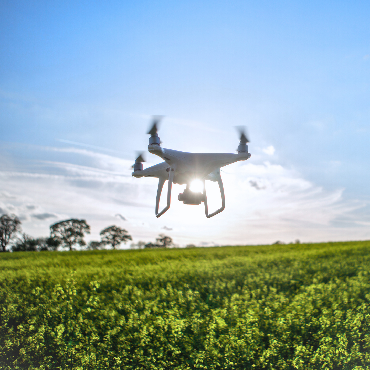 Pratica - Corso Intermedio - Open Category A2