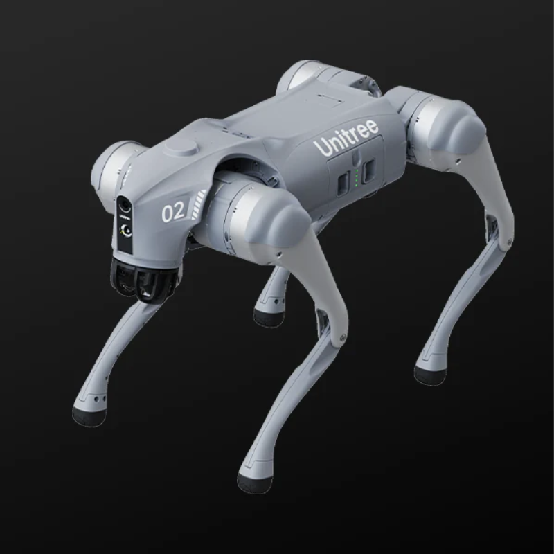 Robot Autonomo – AI Dog Experience (Unitree / similari)