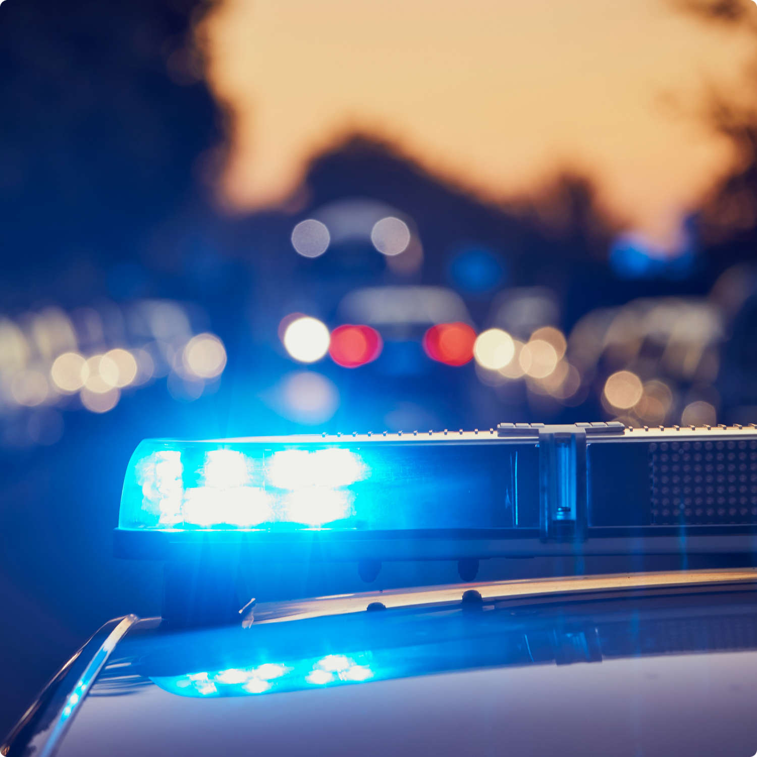 Forze dell'Ordine e Polizie Locali