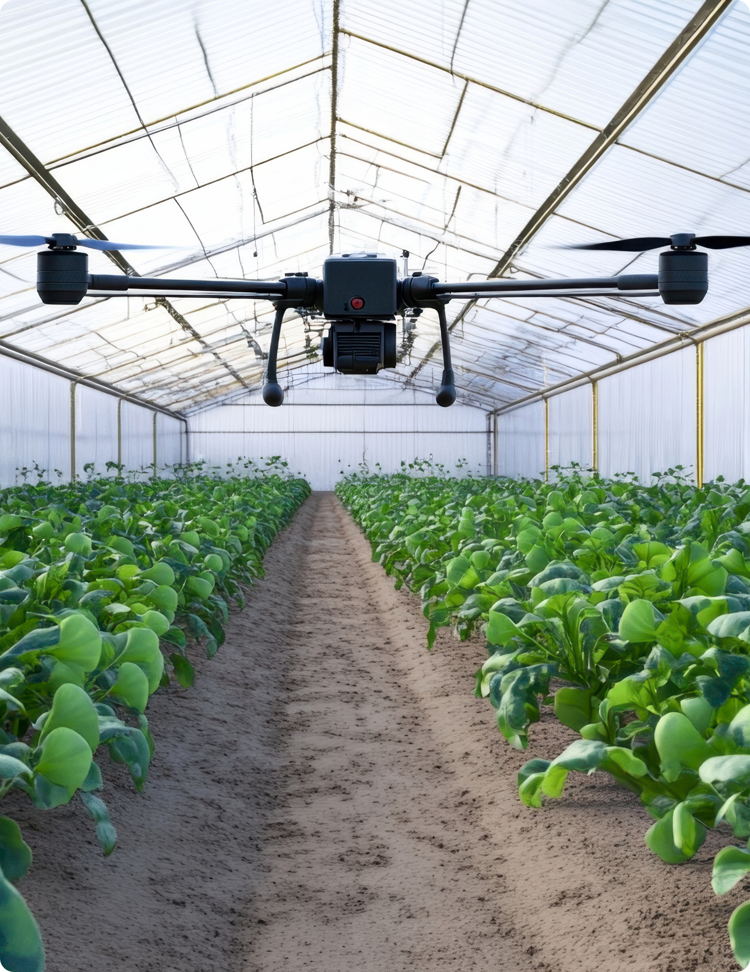 Agricoltura di Precisone